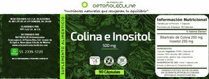 B4 y B8 - Colina e Inositol