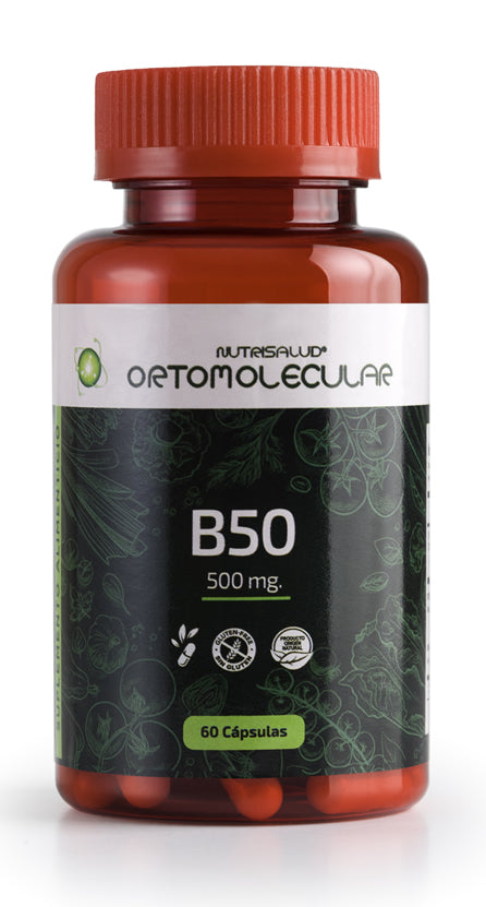 B50 - 500 mg. – ORTOMOLECULAR Nutrisalud